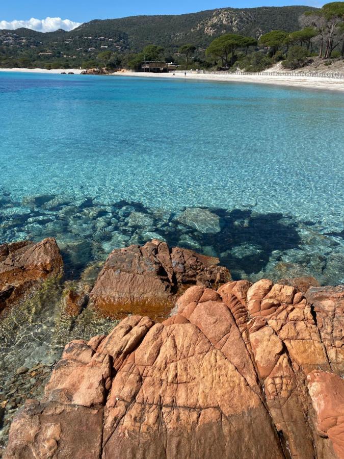فندق Palombaggia Location I Pini Porto Vecchio المظهر الخارجي الصورة