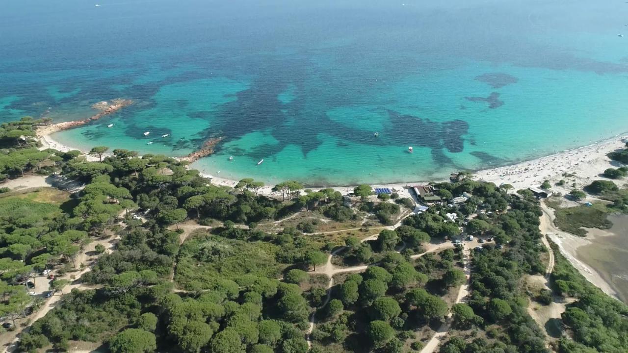 فندق Palombaggia Location I Pini Porto Vecchio المظهر الخارجي الصورة