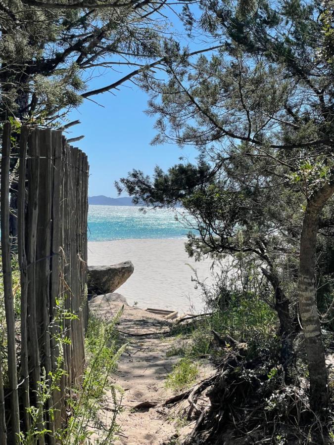 فندق Palombaggia Location I Pini Porto Vecchio المظهر الخارجي الصورة