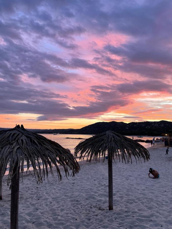 فندق Palombaggia Location I Pini Porto Vecchio المظهر الخارجي الصورة