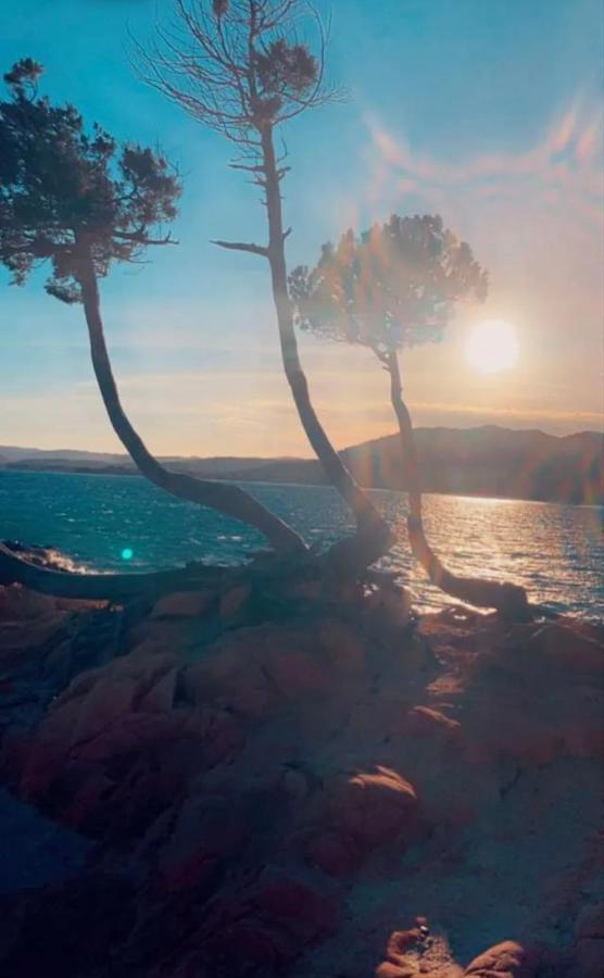 فندق Palombaggia Location I Pini Porto Vecchio المظهر الخارجي الصورة